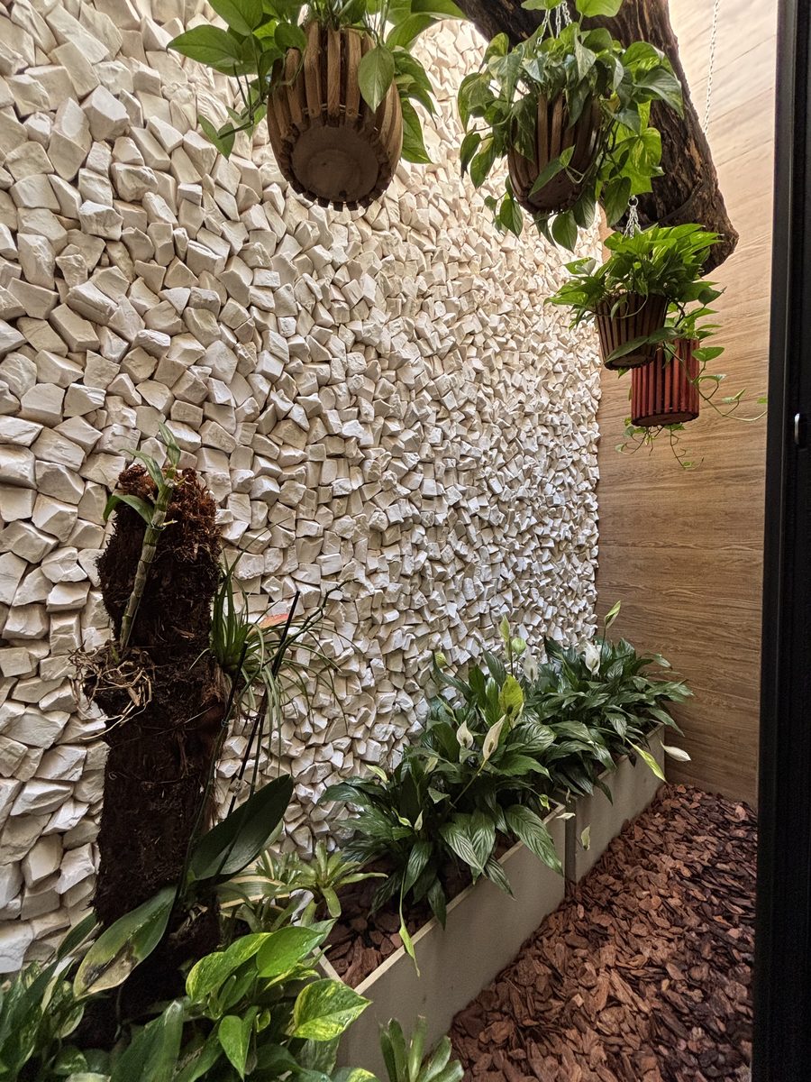 Jardín interior de piedras blancas y plantas
